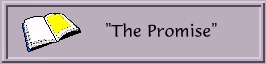 The Promise